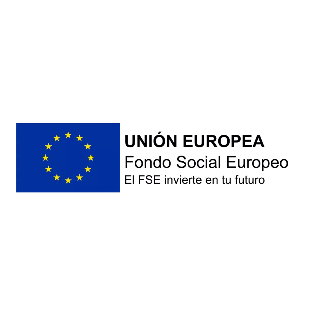 logo-fse Curso de Peluquería Primer Nivel